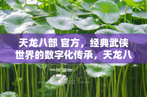 天龙八部 官方,经典武侠世界的数字化传承,天龙八部官方,数字化传承经典武侠世界 天龙八部 官方,经典武侠世界的数字化传承,天龙八部官方,数字化传承经典武侠世界