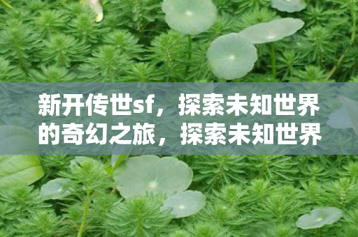 探索未知世界的奇幻之旅图片