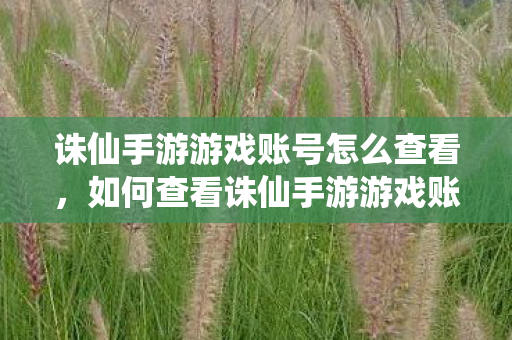 诛仙手游游戏账号怎么查看,如何查看诛仙手游游戏账号 诛仙手游游戏账号怎么查看,如何查看诛仙手游游戏账号