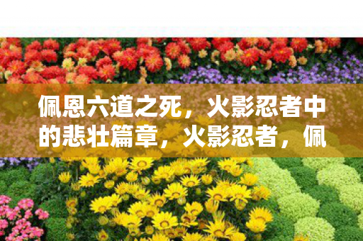 佩恩六道之死，火影忍者中的悲壮篇章，火影忍者，佩恩六道之死，悲壮的篇章