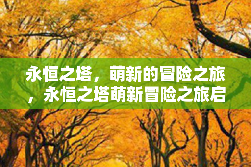永恒之塔萌新冒险之旅启程图片