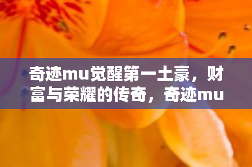 奇迹mu觉醒第一土豪,财富与荣耀的传奇,奇迹mu觉醒,第一土豪的财富与荣耀传奇 奇迹mu觉醒第一土豪,财富与荣耀的传奇,奇迹mu觉醒,第一土豪的财富与荣耀传奇