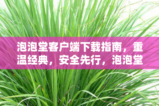 泡泡堂客户端安全下载指南图片