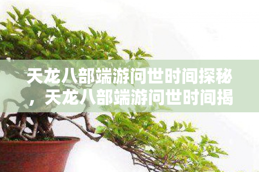 天龙八部端游问世时间探秘,天龙八部端游问世时间揭秘 天龙八部端游问世时间探秘,天龙八部端游问世时间揭秘