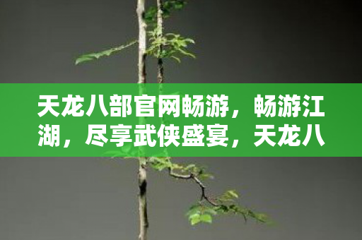 天龙八部官网畅游,畅游江湖,尽享武侠盛宴,天龙八部畅游江湖,尽享武侠盛宴 天龙八部官网畅游,畅游江湖,尽享武侠盛宴,天龙八部畅游江湖,尽享武侠盛宴