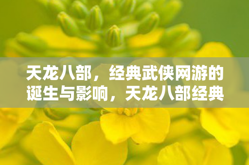 天龙八部,经典武侠网游的诞生与影响,天龙八部经典武侠网游的诞生与影响 天龙八部,经典武侠网游的诞生与影响,天龙八部经典武侠网游的诞生与影响