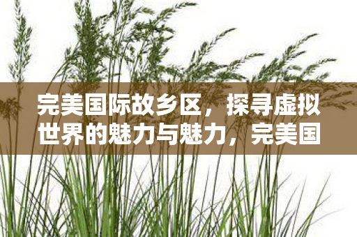 完美国际故乡区，探寻虚拟世界的魅力与魅力，完美国际故乡区，探寻虚拟世界的独特魅力