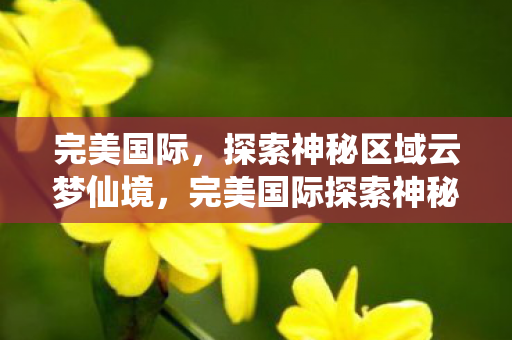 完美国际，探索神秘区域云梦仙境，完美国际探索神秘区域，云梦仙境的奇幻之旅