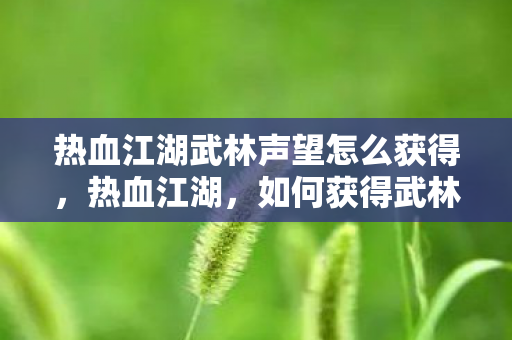 热血江湖武林声望怎么获得,热血江湖,如何获得武林声望? 热血江湖武林声望怎么获得,热血江湖,如何获得武林声望?
