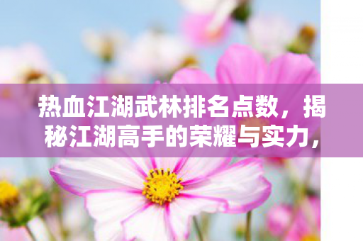 热血江湖武林排名点数，揭秘江湖高手的荣耀与实力，揭秘武林高手的荣耀与实力，热血江湖排名点数全解析