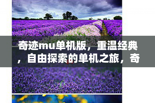 奇迹mu单机版,重温经典,自由探索的单机之旅,奇迹mu单机版,重温经典,开启自由探索之旅 奇迹mu单机版,重温经典,自由探索的单机之旅,奇迹mu单机版,重温经典,开启自由探索之旅