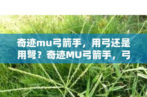 奇迹mu弓箭手,用弓还是用弩?奇迹MU弓箭手,弓与弩的选择 奇迹mu弓箭手,用弓还是用弩?奇迹MU弓箭手,弓与弩的选择