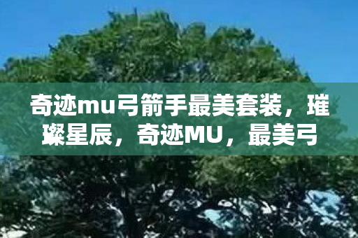 奇迹mu弓箭手最美套装,璀璨星辰,奇迹MU,最美弓箭手套装璀璨星辰 奇迹mu弓箭手最美套装,璀璨星辰,奇迹MU,最美弓箭手套装璀璨星辰