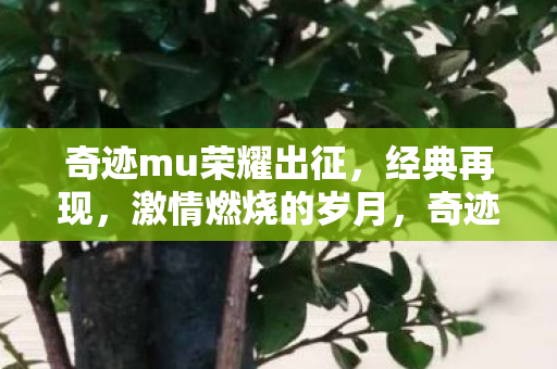 奇迹mu荣耀出征,经典再现,激情燃烧的岁月,奇迹MU荣耀出征,经典再现,激情燃烧的岁月 奇迹mu荣耀出征,经典再现,激情燃烧的岁月,奇迹MU荣耀出征,经典再现,激情燃烧的岁月