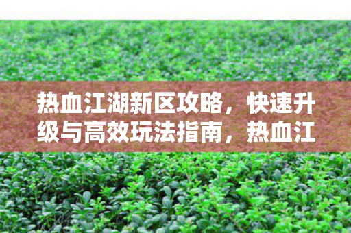 热血江湖新区攻略,快速升级与高效玩法指南,热血江湖新区快速升级与高效玩法全攻略 热血江湖新区攻略,快速升级与高效玩法指南,热血江湖新区快速升级与高效玩法全攻略