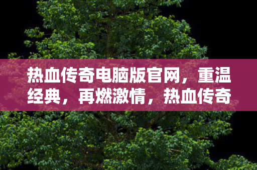热血传奇电脑版官网,重温经典,再燃激情,热血传奇电脑版官网,重温经典,再燃激情 热血传奇电脑版官网,重温经典,再燃激情,热血传奇电脑版官网,重温经典,再燃激情