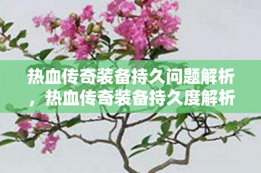 热血传奇装备持久问题解析,热血传奇装备持久度解析 热血传奇装备持久问题解析,热血传奇装备持久度解析