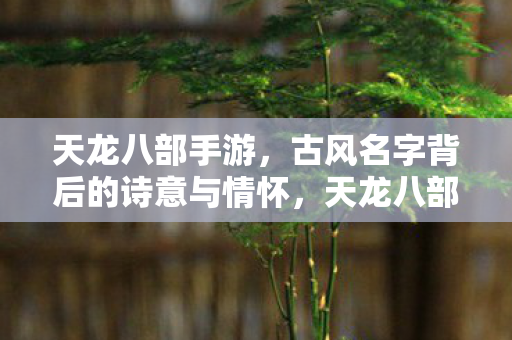 天龙八部手游,古风名字背后的诗意与情怀,天龙八部手游,古风名字背后的诗意与情怀 天龙八部手游,古风名字背后的诗意与情怀,天龙八部手游,古风名字背后的诗意与情怀