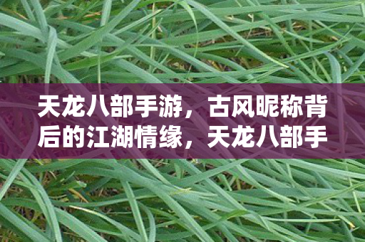 天龙八部手游,古风昵称背后的江湖情缘,天龙八部手游古风昵称,江湖情缘的浪漫演绎 天龙八部手游,古风昵称背后的江湖情缘,天龙八部手游古风昵称,江湖情缘的浪漫演绎