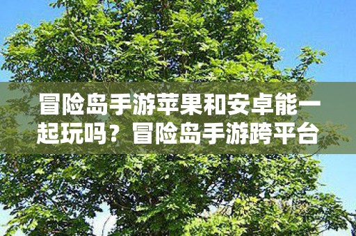冒险岛手游苹果和安卓能一起玩吗?冒险岛手游跨平台联机攻略,苹果与安卓能否一起玩? 冒险岛手游苹果和安卓能一起玩吗?冒险岛手游跨平台联机攻略,苹果与安卓能否一起玩?
