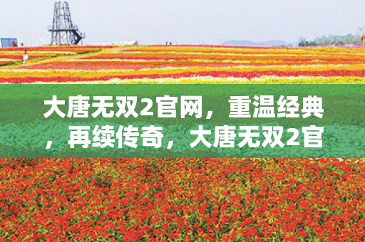 大唐无双2官网,重温经典,再续传奇,大唐无双2官网,重温经典,再续传奇 大唐无双2官网,重温经典,再续传奇,大唐无双2官网,重温经典,再续传奇