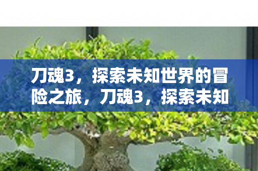 刀魂3，探索未知世界的冒险之旅，刀魂3，探索未知世界的惊险冒险