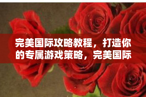完美国际攻略教程,打造你的专属游戏策略,完美国际,打造专属游戏策略的全面攻略 完美国际攻略教程,打造你的专属游戏策略,完美国际,打造专属游戏策略的全面攻略