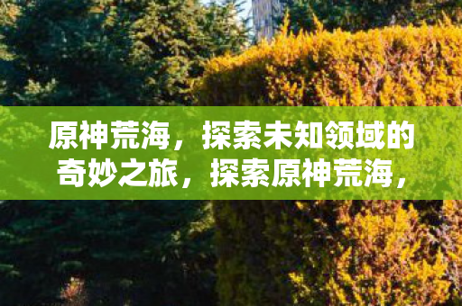 原神荒海,探索未知领域的奇妙之旅,探索原神荒海,一场奇妙之旅的启程 原神荒海,探索未知领域的奇妙之旅,探索原神荒海,一场奇妙之旅的启程