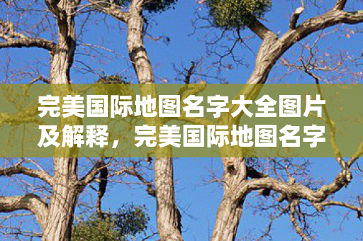 完美国际地图名字大全图片及解释，完美国际地图名字大全，探索奇幻世界的地图名称与解释
