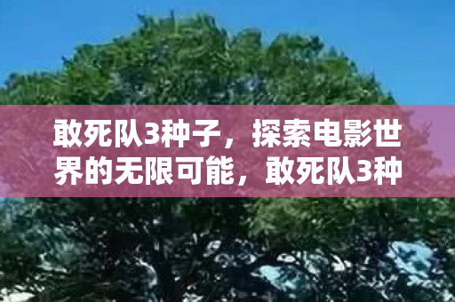 敢死队3种子，探索电影世界的无限可能，敢死队3种子，探索电影世界的无限可能