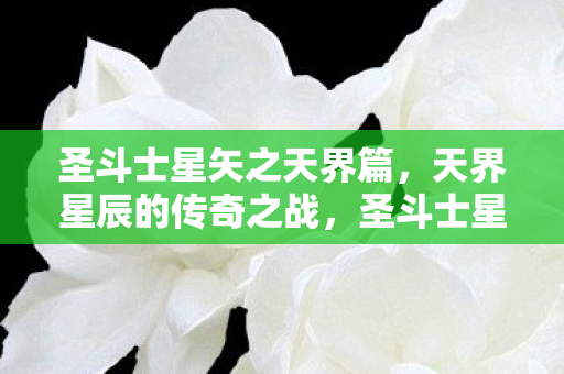 圣斗士星矢之天界篇,天界星辰的传奇之战,圣斗士星矢之天界篇,天界星辰的传奇之战 圣斗士星矢之天界篇,天界星辰的传奇之战,圣斗士星矢之天界篇,天界星辰的传奇之战