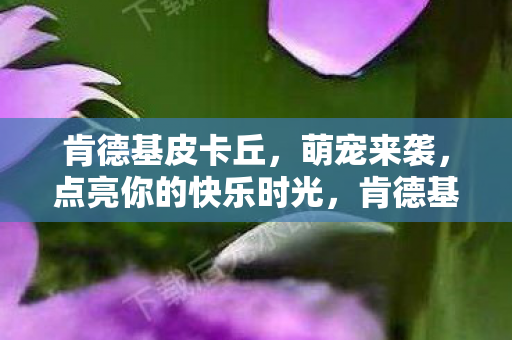 肯德基皮卡丘,萌宠来袭,点亮你的快乐时光,肯德基皮卡丘萌宠点亮快乐时光 肯德基皮卡丘,萌宠来袭,点亮你的快乐时光,肯德基皮卡丘萌宠点亮快乐时光