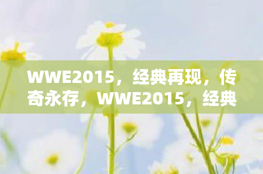 WWE2015，经典再现，传奇永存，WWE2015，经典再现，传奇永存