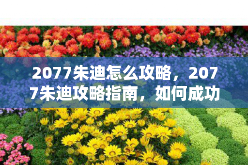 2077朱迪怎么攻略，2077朱迪攻略指南，如何成功追求朱迪