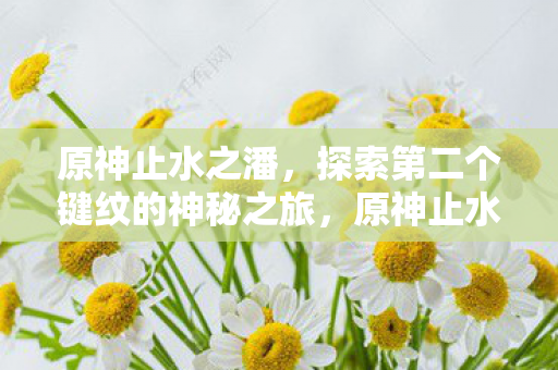 原神止水之潘,探索第二个键纹的神秘之旅,原神止水之潘,解锁第二个键纹,开启神秘之旅 原神止水之潘,探索第二个键纹的神秘之旅,原神止水之潘,解锁第二个键纹,开启神秘之旅
