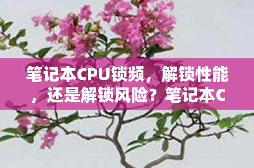 笔记本CPU锁频,解锁性能,还是解锁风险?笔记本CPU解锁性能,是提升性能还是增加风险? 笔记本CPU锁频,解锁性能,还是解锁风险?笔记本CPU解锁性能,是提升性能还是增加风险?
