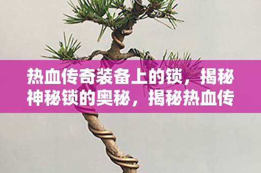 热血传奇装备上的锁,揭秘神秘锁的奥秘,揭秘热血传奇装备神秘锁的奥秘 热血传奇装备上的锁,揭秘神秘锁的奥秘,揭秘热血传奇装备神秘锁的奥秘