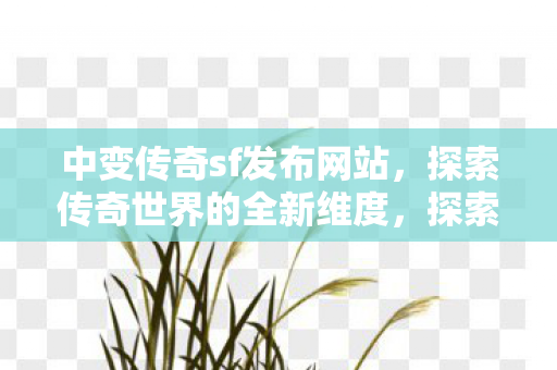 探索传奇世界的全新维度图片