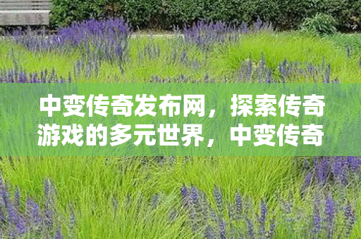 探索传奇游戏的多元世界图片