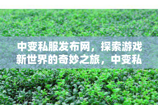 中变私服发布网,探索游戏新世界的奇妙之旅,中变私服发布网,开启游戏新世界探险之旅 中变私服发布网,探索游戏新世界的奇妙之旅,中变私服发布网,开启游戏新世界探险之旅