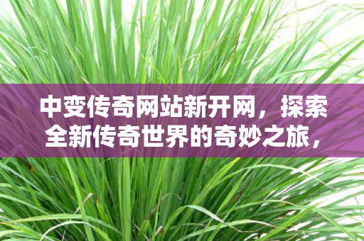 中变传奇网站新开网,探索全新传奇世界的奇妙之旅,探索全新传奇世界,中变传奇网站新开网 中变传奇网站新开网,探索全新传奇世界的奇妙之旅,探索全新传奇世界,中变传奇网站新开网