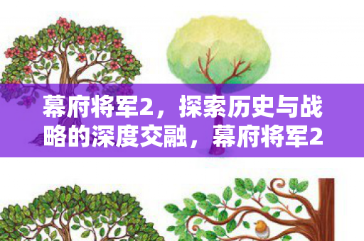 幕府将军2，探索历史与战略的深度交融，幕府将军2，历史与战略的深度交融探索