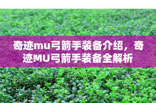 奇迹mu弓箭手装备介绍,奇迹MU弓箭手装备全解析 奇迹mu弓箭手装备介绍,奇迹MU弓箭手装备全解析