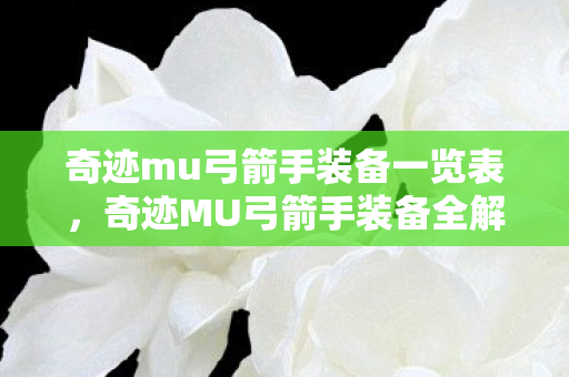 奇迹mu弓箭手装备一览表,奇迹MU弓箭手装备全解析 奇迹mu弓箭手装备一览表,奇迹MU弓箭手装备全解析