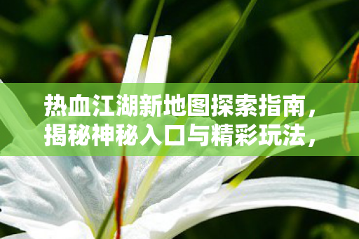 热血江湖新地图探索指南,揭秘神秘入口与精彩玩法,热血江湖新地图探索全攻略,揭秘神秘入口与精彩玩法 热血江湖新地图探索指南,揭秘神秘入口与精彩玩法,热血江湖新地图探索全攻略,揭秘神秘入口与精彩玩法