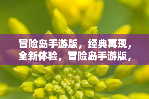 冒险岛手游版,经典再现,全新体验,冒险岛手游版,经典再现,全新体验来袭 冒险岛手游版,经典再现,全新体验,冒险岛手游版,经典再现,全新体验来袭
