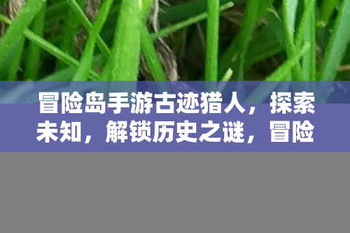 冒险岛手游古迹猎人,探索未知,解锁历史之谜,冒险岛手游古迹猎人,解锁历史之谜,探索未知之旅 冒险岛手游古迹猎人,探索未知,解锁历史之谜,冒险岛手游古迹猎人,解锁历史之谜,探索未知之旅