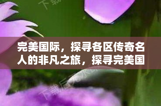 完美国际，探寻各区传奇名人的非凡之旅，探寻完美国际各区传奇名人的非凡之旅