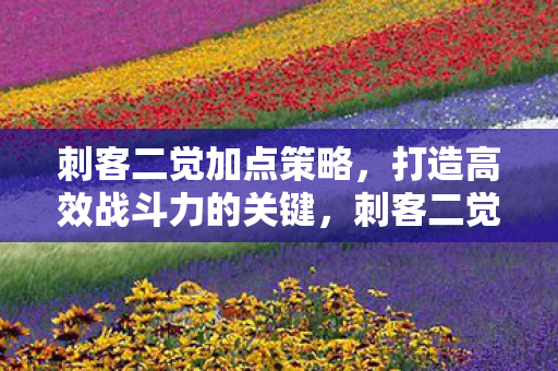 刺客二觉加点策略,打造高效战斗力的关键,刺客二觉加点策略,打造高效战斗力的关键 刺客二觉加点策略,打造高效战斗力的关键,刺客二觉加点策略,打造高效战斗力的关键