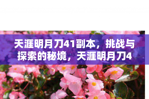 天涯明月刀41副本,挑战与探索的秘境,天涯明月刀41副本,挑战与探索的秘境 天涯明月刀41副本,挑战与探索的秘境,天涯明月刀41副本,挑战与探索的秘境